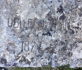 Иво Визин могила в Прчани
