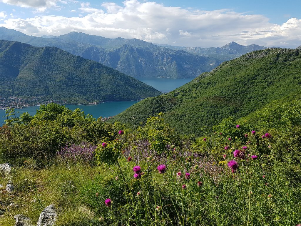 пешие маршруты в Черногории