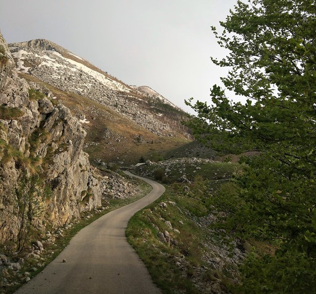 дороги Черногории