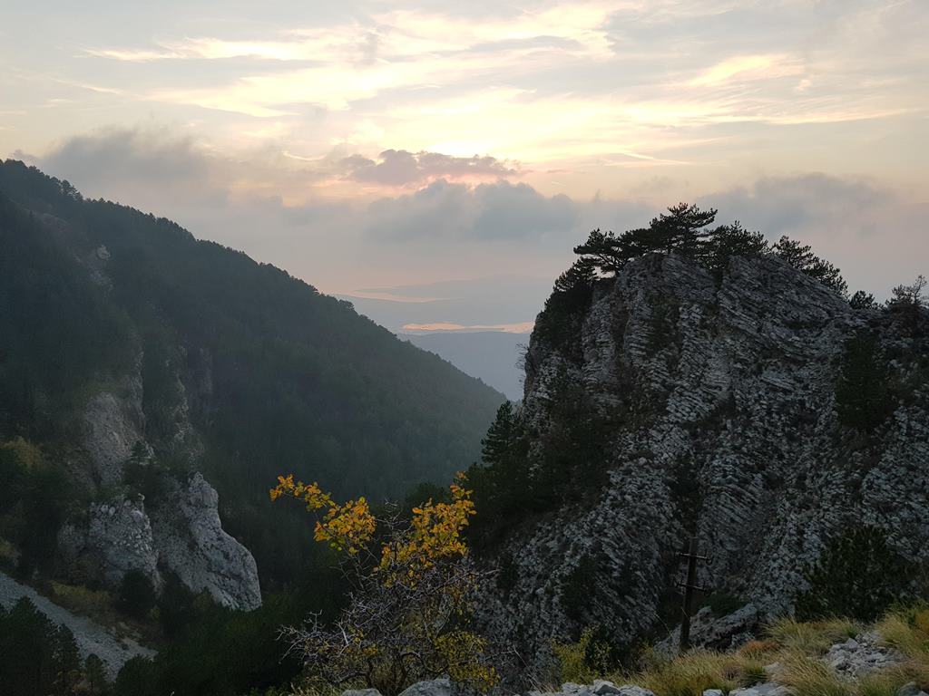 Негуши, Черногория