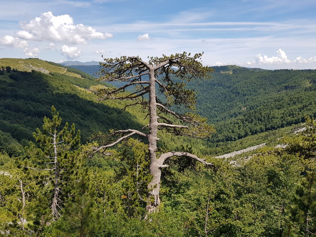 горы Комови Черногория
