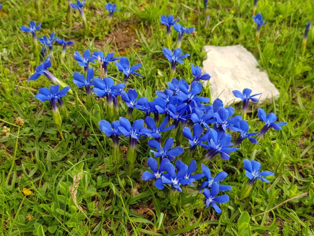 нацпарк Дурмитор на машине