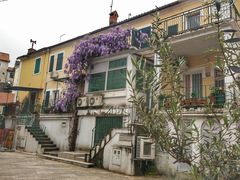 Херцег-Нови в черногории