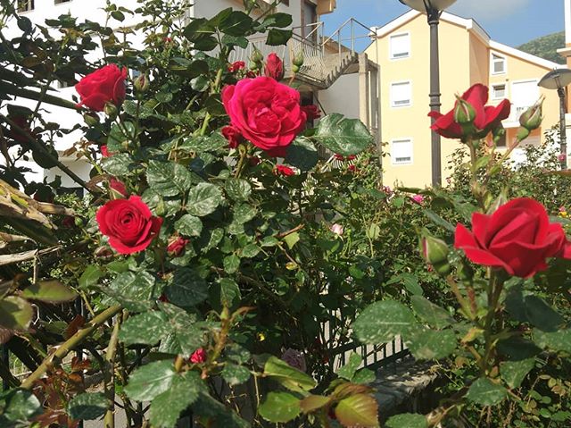 Будва в мае