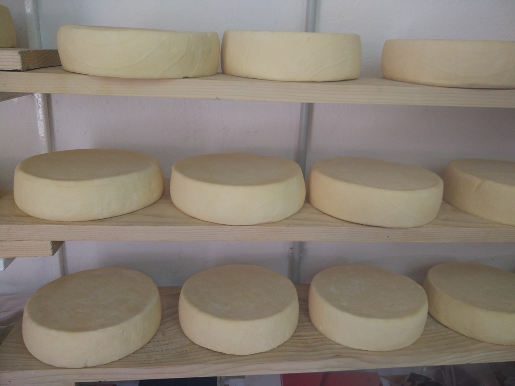 негушский сыр