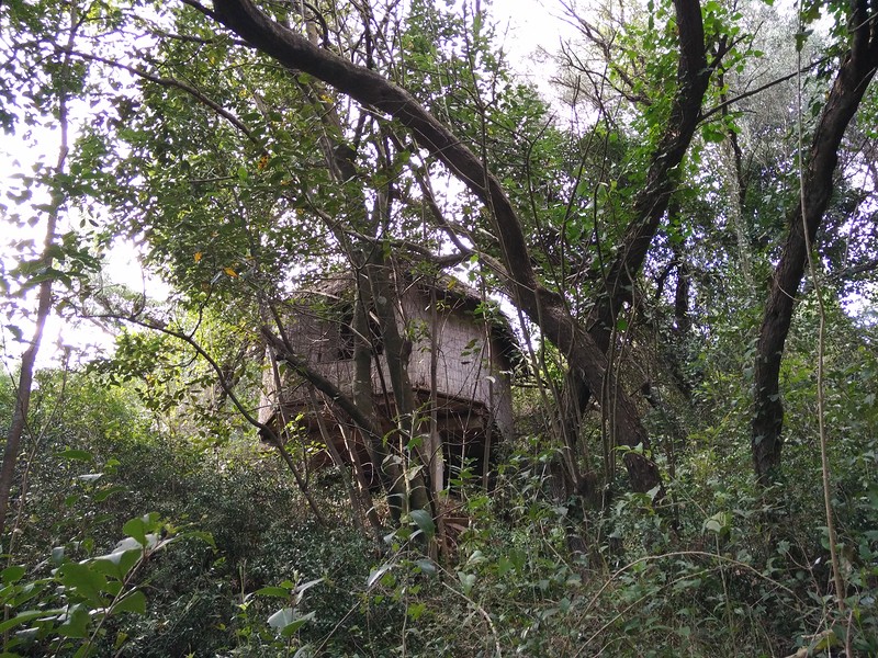 история острова святого марка