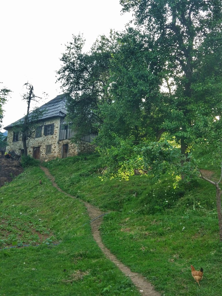 деревня Япония в Черногории