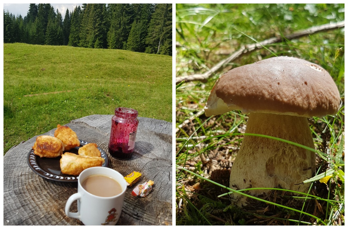 отдых в Жабляке