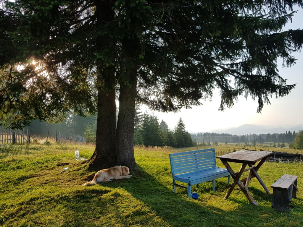 Жабляк черногория