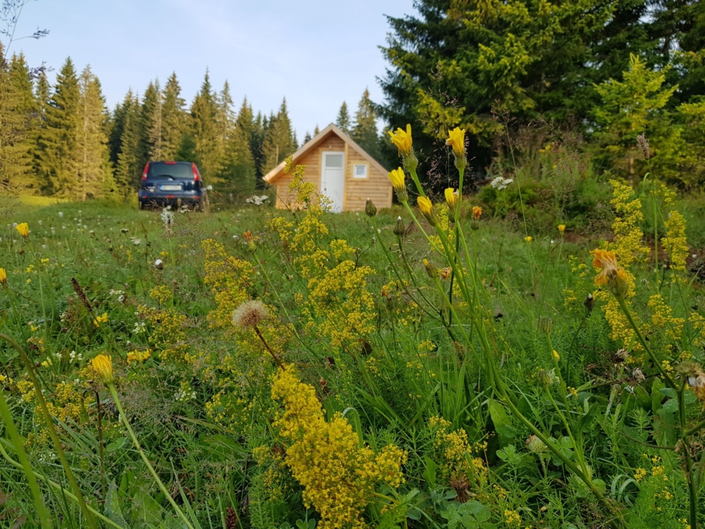 дома в жабляке черногория