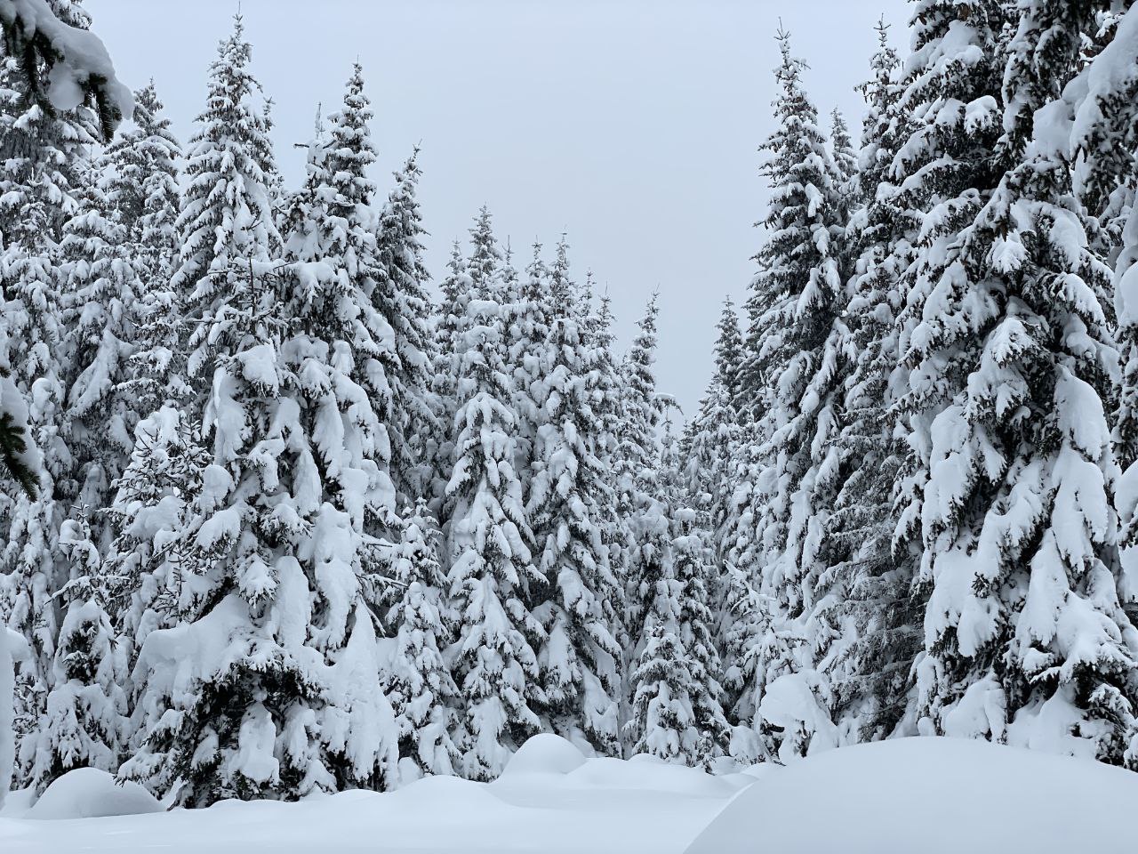 какой январь в Черногории снег в Жабляке фото
