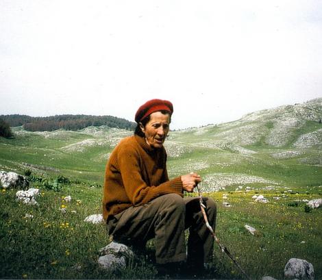 вирджина черногория