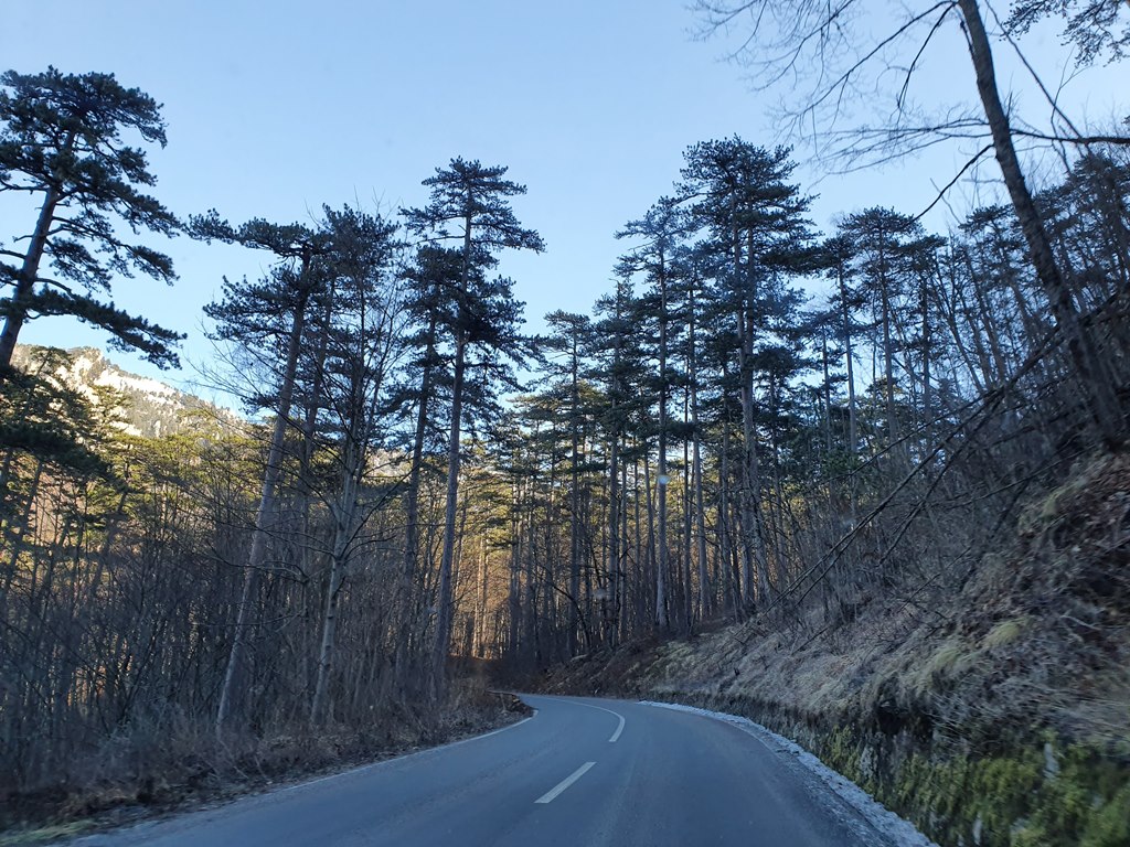 дорога в Дурмитор