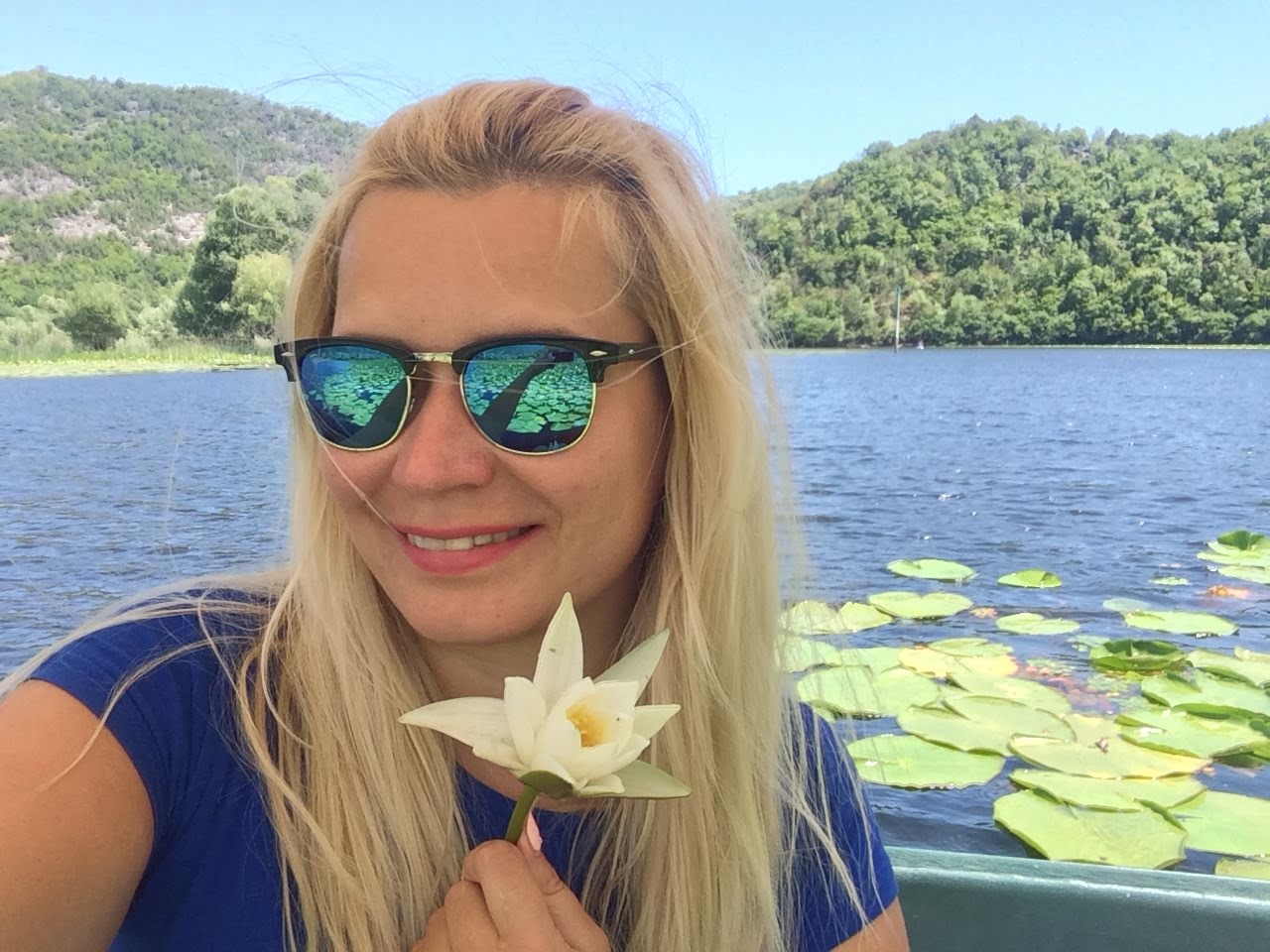 лотосы на Скадарском озере