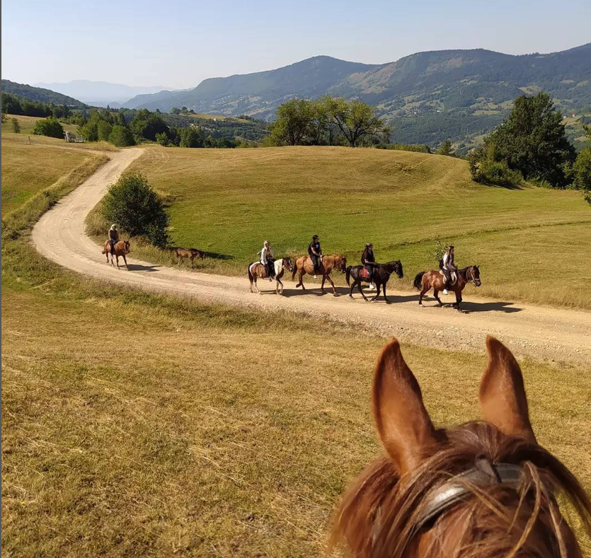 на конях по Черногории фото