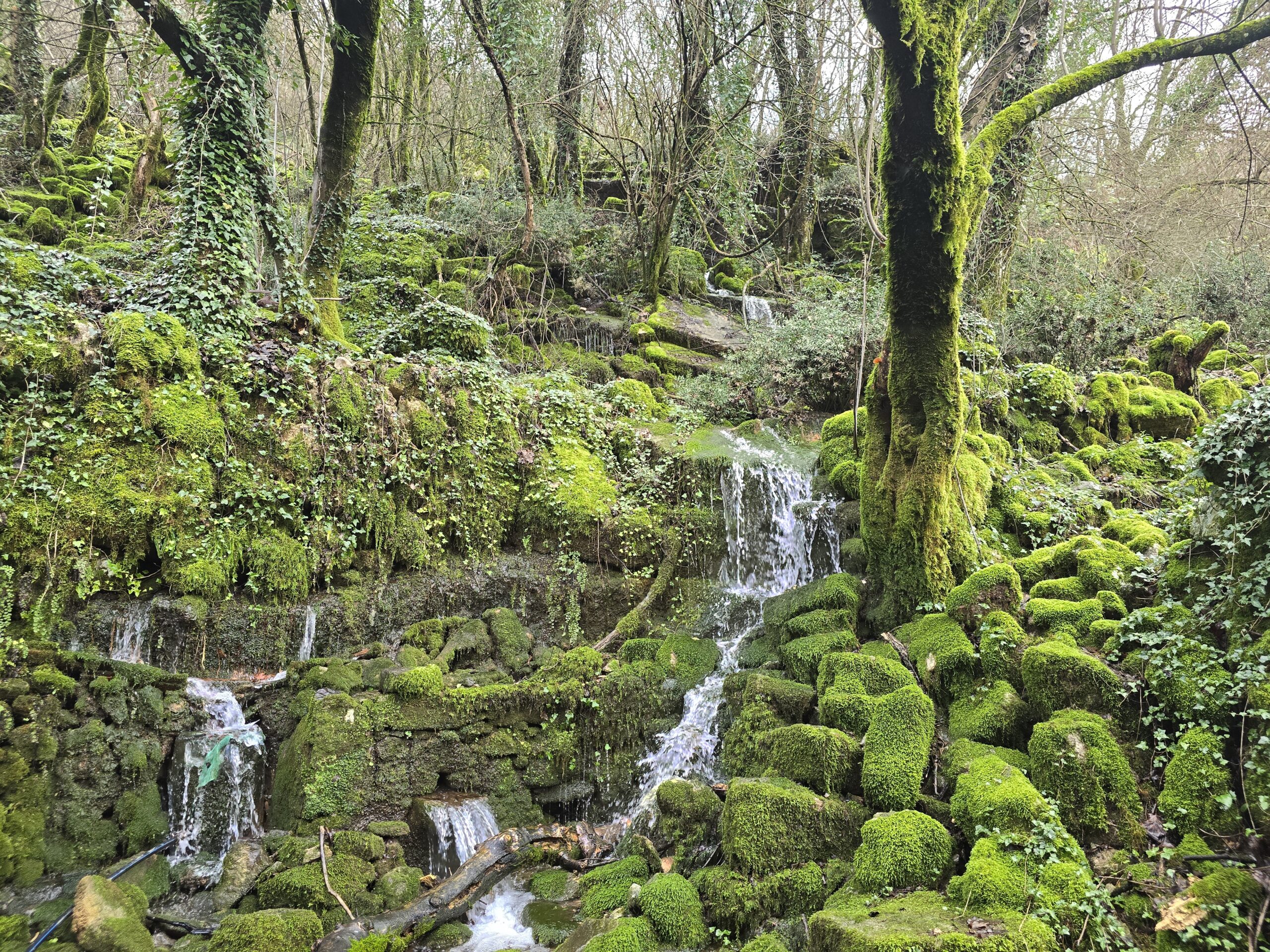 фото из Poseljani crna gora