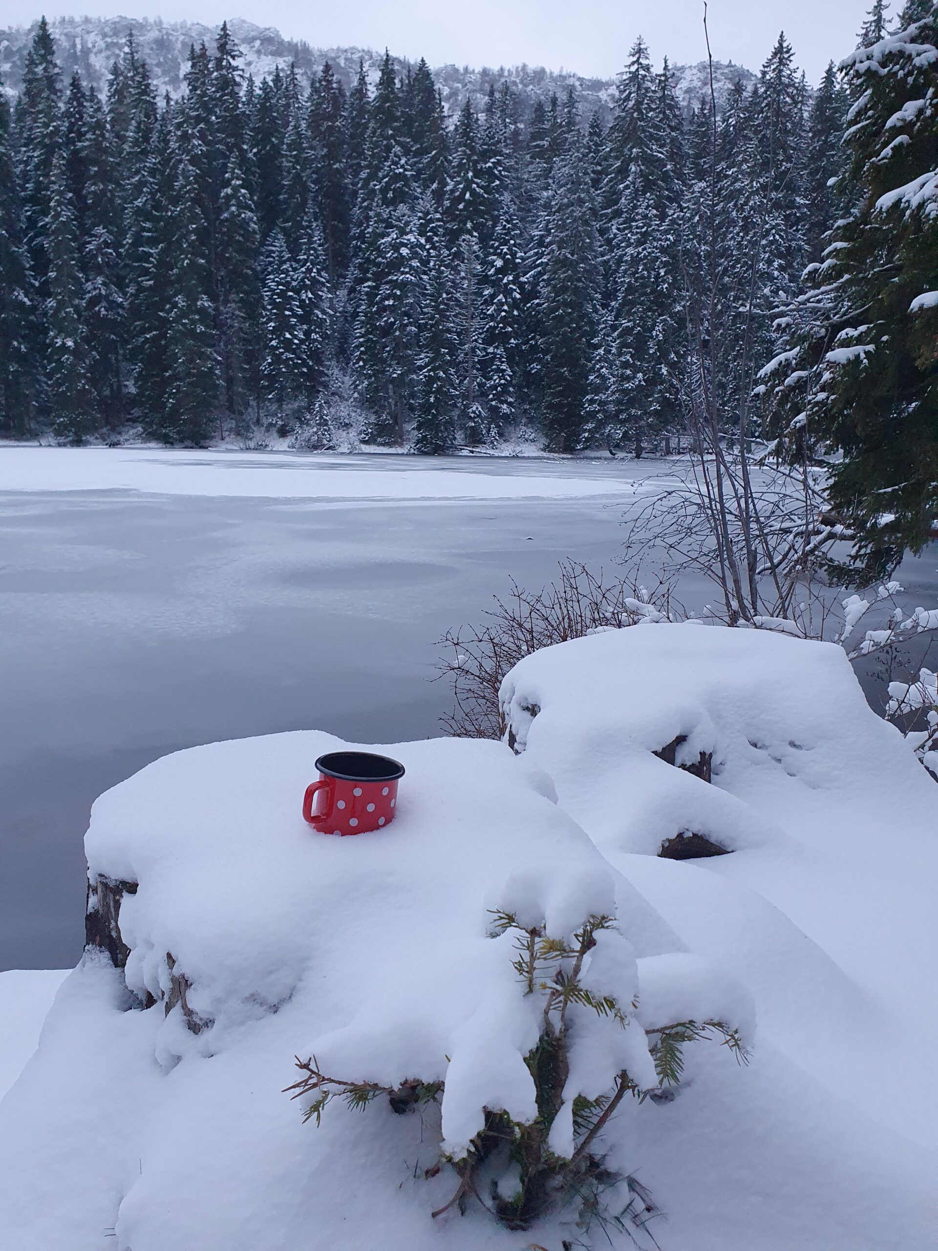 Зминье озеро в снегу фото