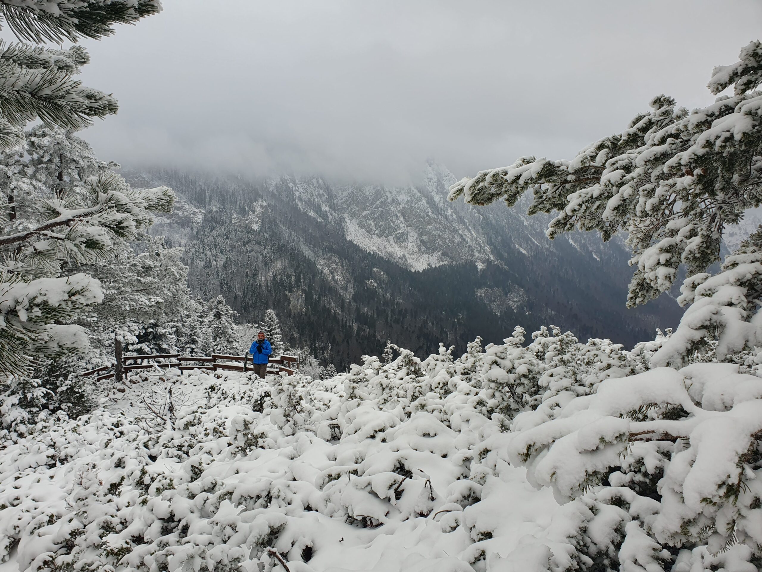 пик Чуревац в снегу фото каньон Тары