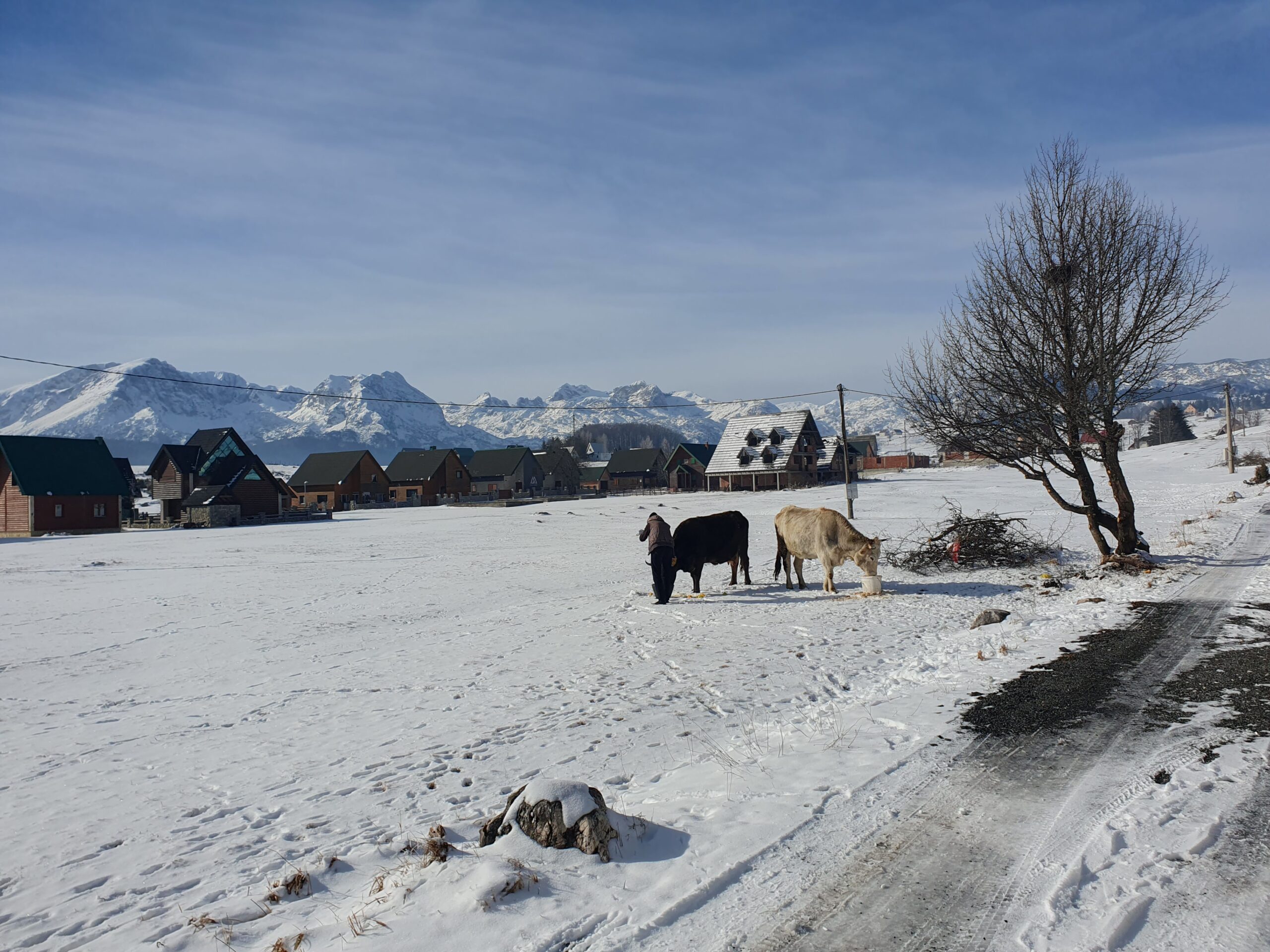 Черногория зимой Дурмитор фото январь