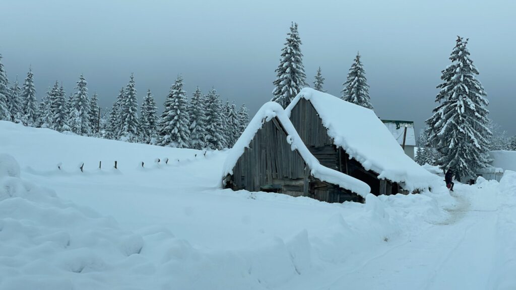 Жабляк зимой в снегу черногория 2023
